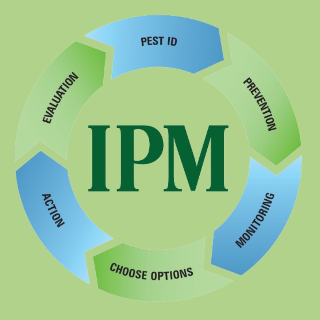 Le Pest Management Int gr IPM Le Pest Management Int gr IPM